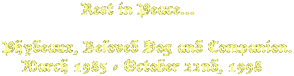 Rest in Peace... Phydeaux, Beloved Dog and Companion. March 1985 - October 22nd, 1998