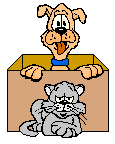 Dog and Cat
