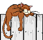 Winking Cat