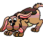 Puppy wagging tail.