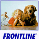 Frontline