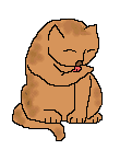 Licking Cat